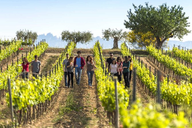 From Barcelona: El Penedès Hike & Wines - Leaving Barcelona for El Penedès vineyards