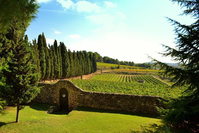 From Barcelona: El Penedès Hike & Wines - Two hours on foot among vineyards and farmhouses