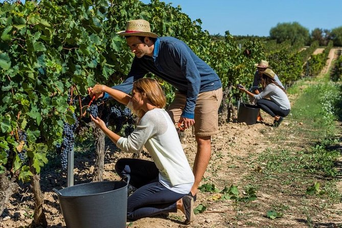 From Barcelona: El Penedès Hike & Wines - Timing, price, and what the $114.49 covers