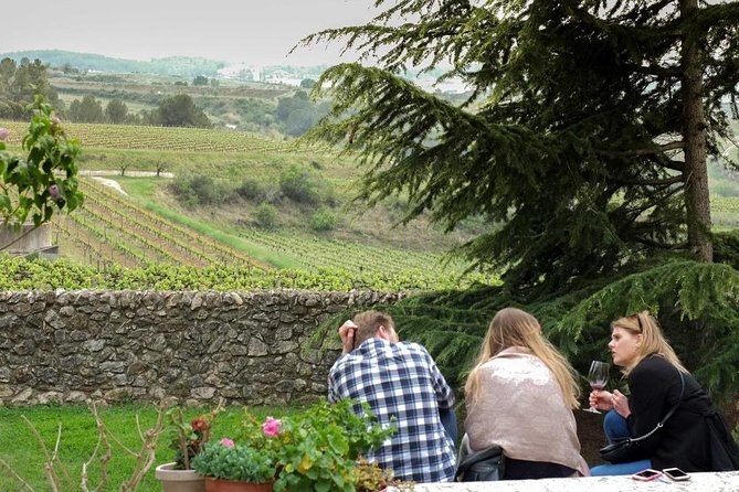 From Barcelona: El Penedès Hike & Wines - Should you book the El Penedès hike and wine day?