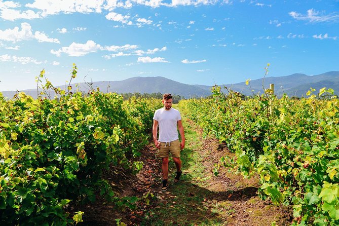 From Barcelona: El Penedès Hike & Wines - FAQ