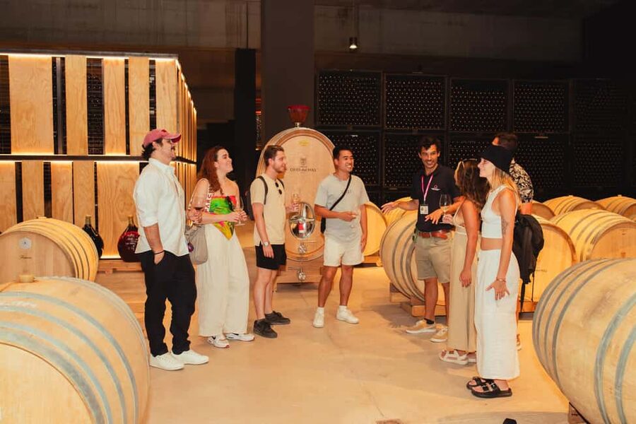 From Barcelona: Full-Day Montserrat & Wine Small Group Tour - How the wine visit works