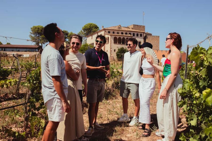 From Barcelona: Full-Day Montserrat & Wine Small Group Tour - Who should book this Montserrat tour?