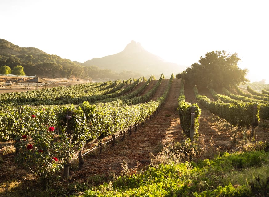 From Barcelona: Half-Day Trip to Montserrat Mountain - Who will get the most from this Montserrat trip?
