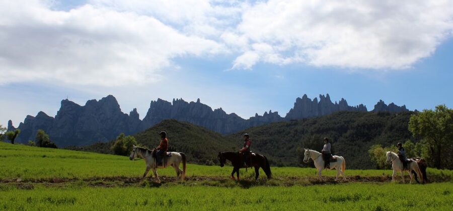 From Barcelona: Horseback Tour in Montserrat National Park - Market time and a practical break