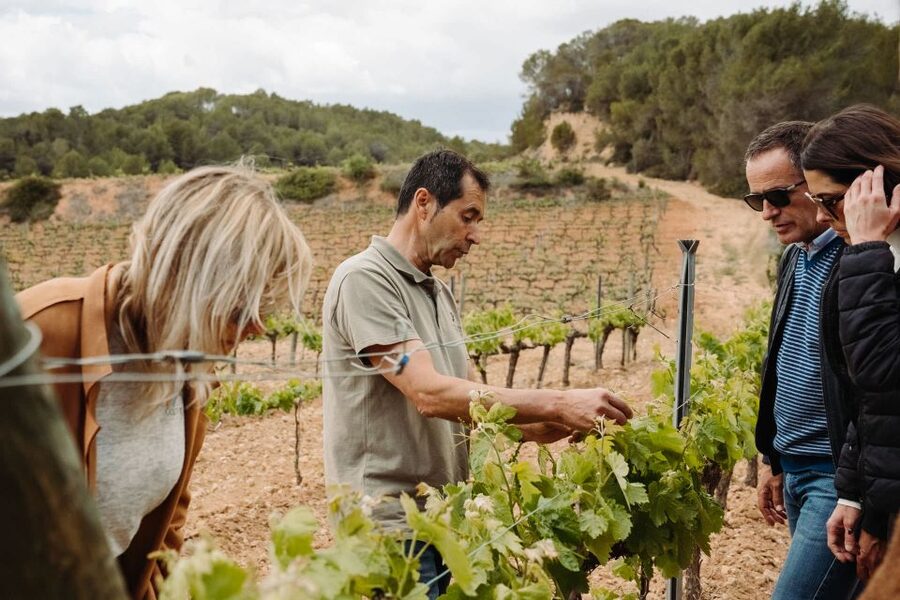 From Barcelona: Montserrat & Cava Winery Day Trip - Your free time around the monastery
