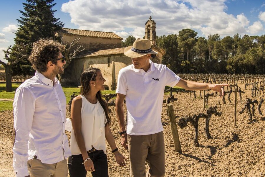 From Barcelona: Penedés Vineyards Tour by 4WD w/Wine & Cava - Should you book the Penedès wine and cava tour?