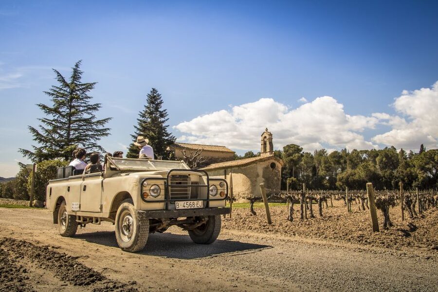 From Barcelona: Penedés Vineyards Tour by 4WD w/Wine & Cava - The guides shape the experience