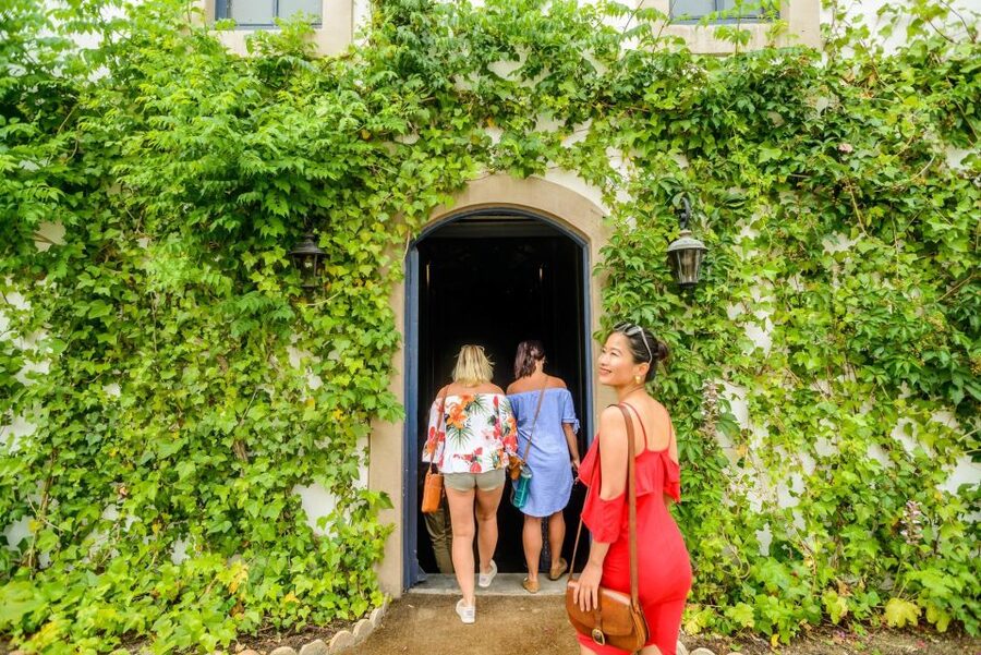 From Barcelona: Penedés Vineyards Tour by 4WD w/Wine & Cava - What $85 gets you