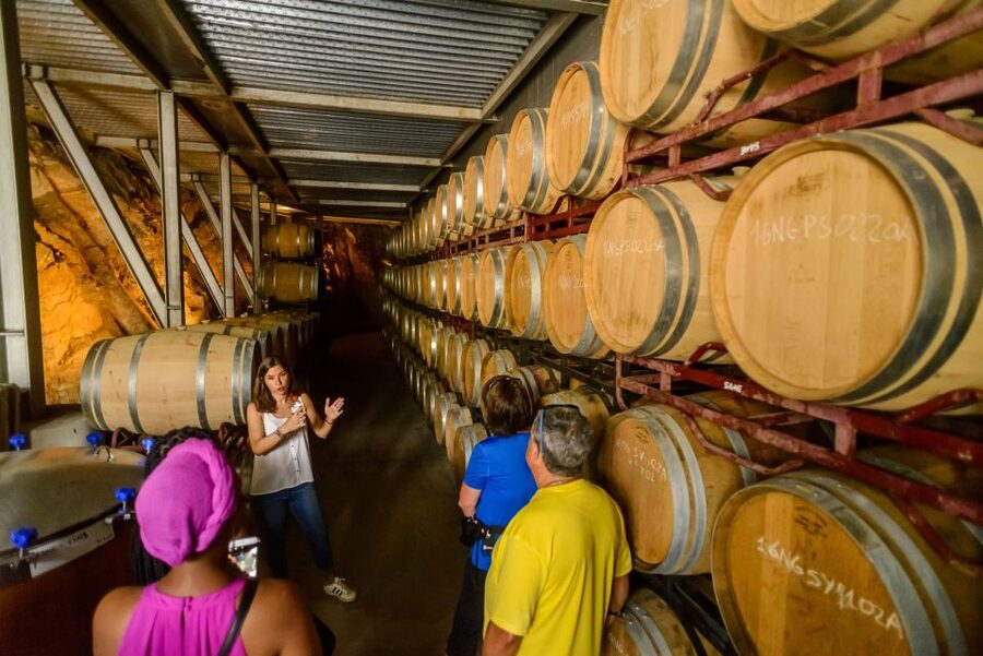 From Barcelona: Private Alella Wine Tour by Electric Bike - Who should book this Alella outing?