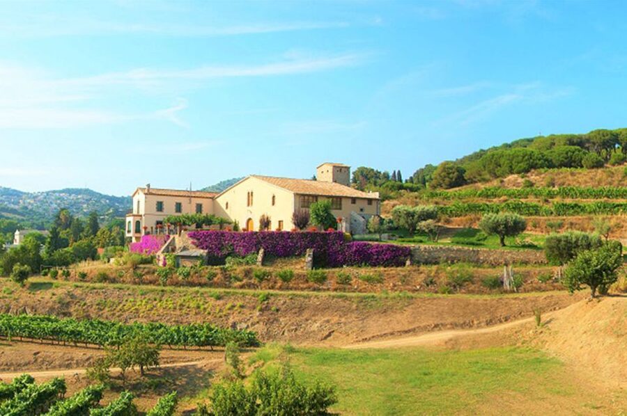 From Barcelona: Private Alella Wine Tour by Electric Bike - What happens at the Alella winery