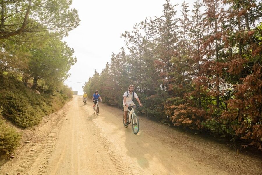 From Barcelona: Private Alella Wine Tour by Electric Bike - The guide can shape the entire day