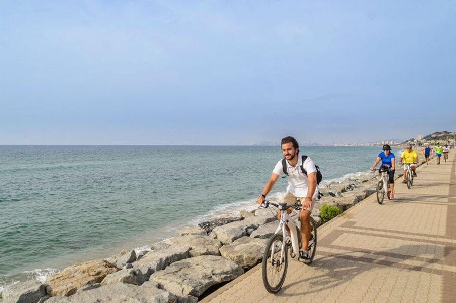 From Barcelona: Private Alella Wine Tour by Electric Bike - Bike quality and physical demands