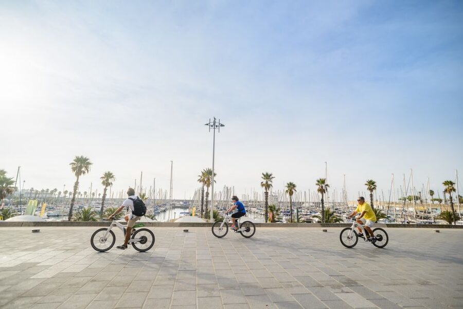 From Barcelona: Private Alella Wine Tour by Electric Bike - Is $294 per person good value?