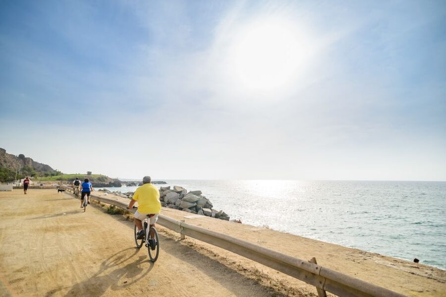 From Barcelona: Private Alella Wine Tour by Electric Bike - The coastal ride from the Gothic Quarter