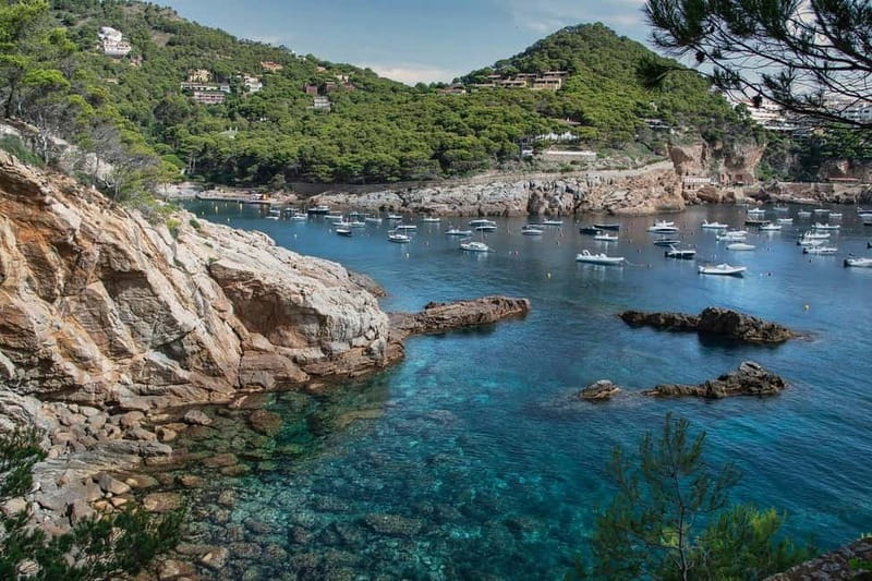 From Barcelona: Private Costa Brava Guided Tour - Timing, comfort, and what to bring