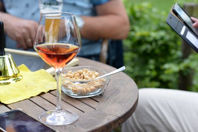 From Barcelona: Wine Cellar Visit in Penedes with Tasting - Walking through the vineyards and winery