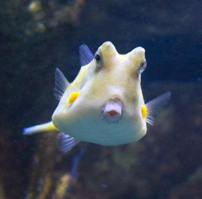 From Costa Brava: Barcelona Day Trip with Aquarium Visit - Reaching Barcelona by included coach