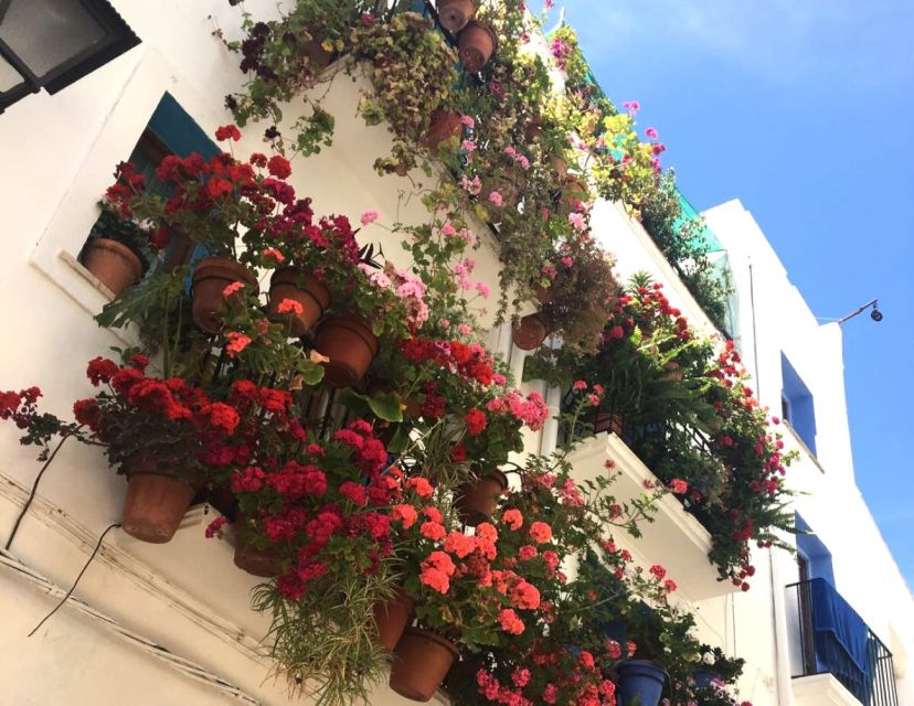 From Costa Dorada: Peñíscola and Ebro Delta Sightseeing Tour - The guide and the group experience