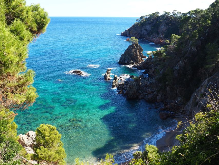 From Girona: Medieval Costa Brava Day Trip - Lunch and a seaside pause in Calella de Palafrugell