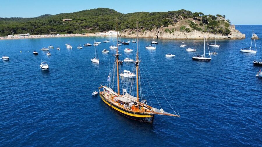 From Palamos: Scenic Boat Trip to Calella de Palafrugell - La Fosca and Platja del Castell from the water