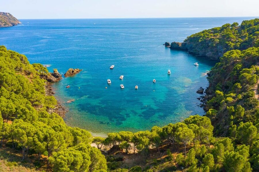 From Roses: Cap Norfeu Boat Cruise & Swimming - Who will enjoy this boat trip most