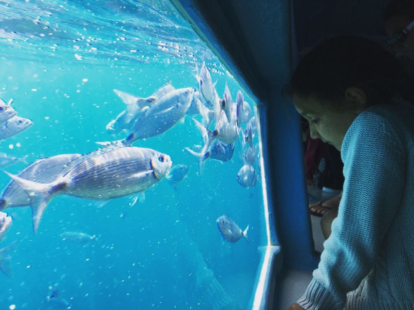 From Roses: Cap Norfeu Boat Cruise & Swimming - Choosing between Roses and Santa Margarita