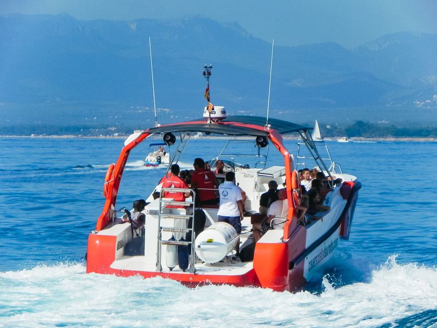 From Salou/Cambrils: Speedboat Tour - Key points at a glance