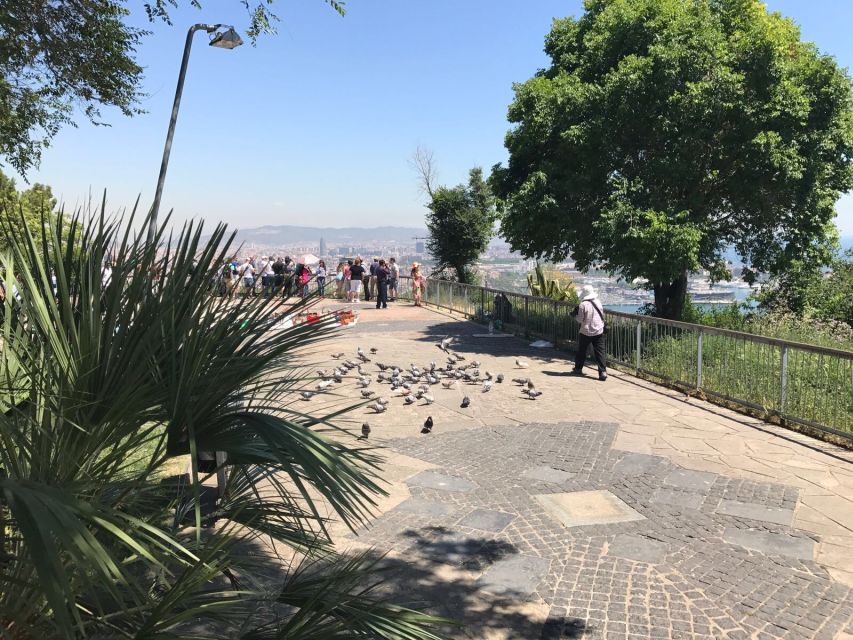 From Salou: Full Day Barcelona Panoramic Tour with Free Time - Montjuïc, the Olympic Village, and Barcelona from the coach