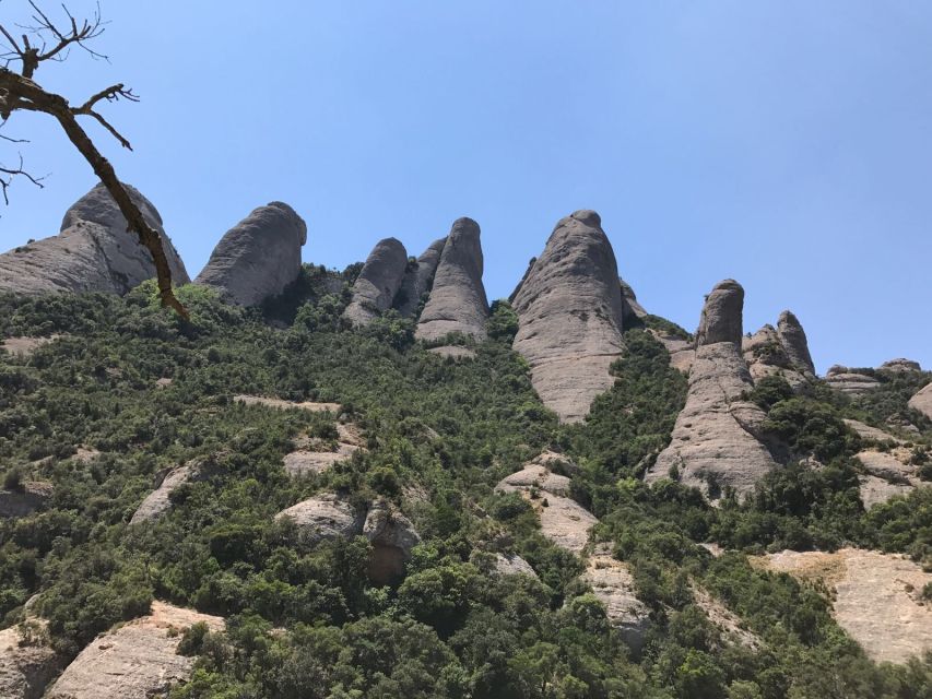 From Salou: Montserrat Monastery and Colonia Güell - Why Colonia Güell makes a strong first stop