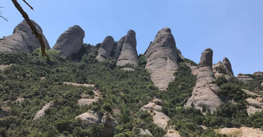 From Salou: Montserrat Monastery and Colonia Güell - A long day with a sensible rhythm