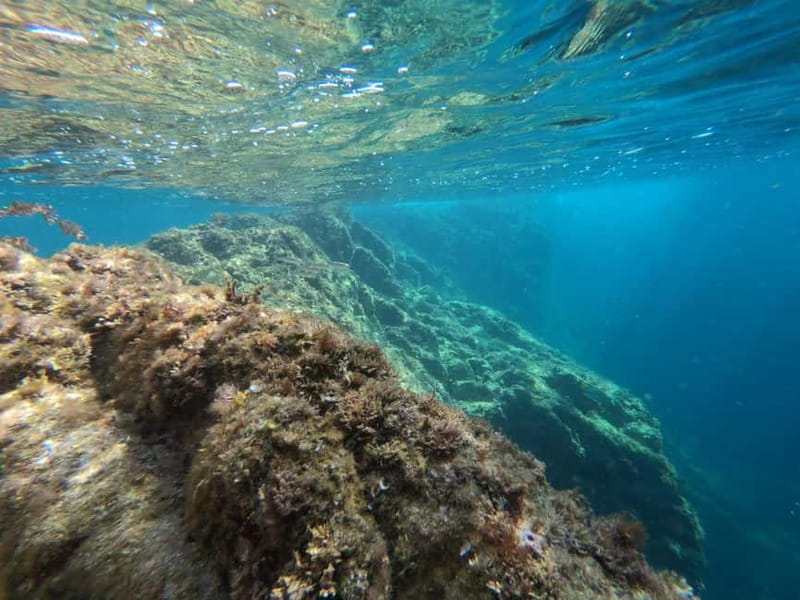 From Sant Feliu de Guíxols: Kayak and Snorkel in Costa Brava - The cove stop and Mediterranean snorkeling