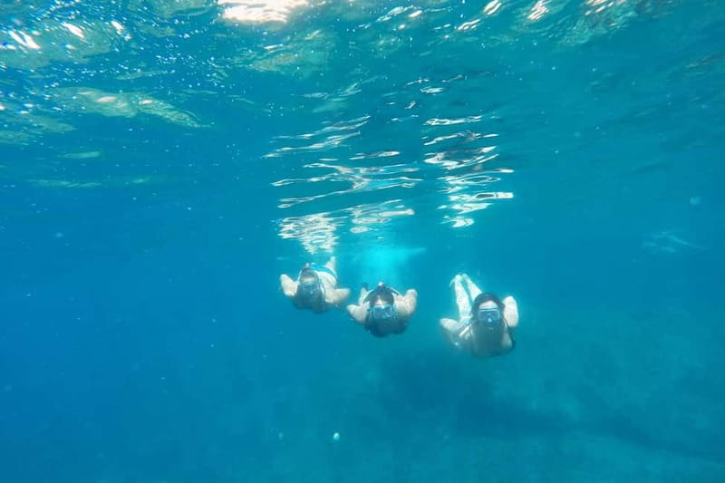 From Sant Feliu de Guíxols: Kayak and Snorkel in Costa Brava - Who should book, and who should skip it