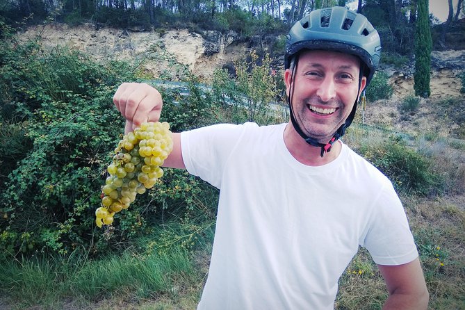 From Sitges: Bike Tour and Winery Visit with Free Hotel Pick Up. - Vineyard stops, grape varieties, and the rhythm of the morning