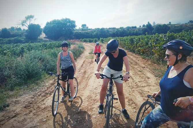 From Sitges: Bike Tour and Winery Visit with Free Hotel Pick Up. - What the $111.26 price gets you