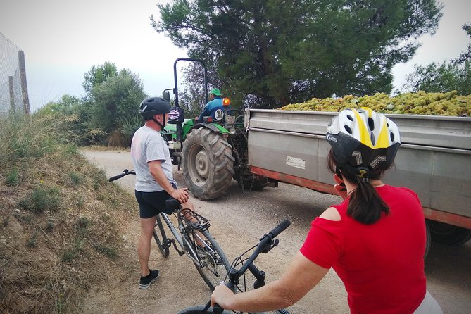 From Sitges: Bike Tour and Winery Visit with Free Hotel Pick Up. - Pickup from Sitges and the five-hour schedule