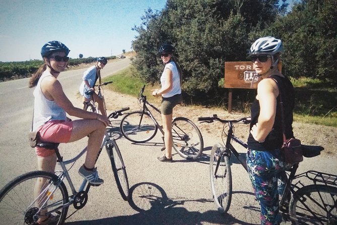 From Sitges: Bike Tour and Winery Visit with Free Hotel Pick Up. - Who will enjoy this bike and cava tour