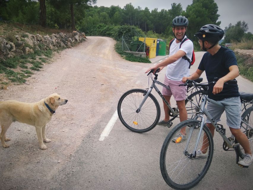 From Sitges: Cycling Tour with Winery visit and Tasting - Is $100 a fair price?