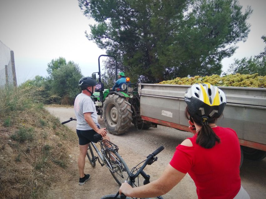 From Sitges: Cycling Tour with Winery visit and Tasting - What could disappoint you