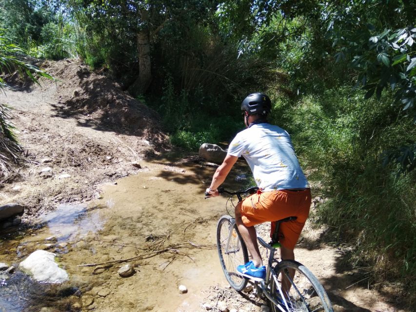 From Sitges: Paella Masterclass, Bike Ride and Winery Visit - Final verdict: a smart choice for an active food morning
