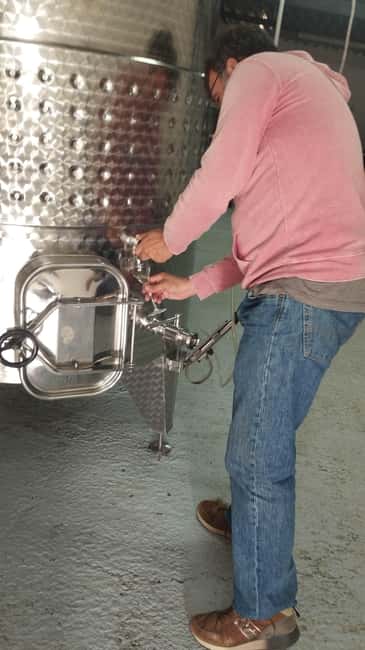 From Sitges: Wine Tasting at 2 Wineries, Snacks and Pickup - The short transfer to the second winery