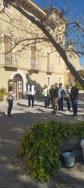 From Sitges: Wine Tasting at 2 Wineries, Snacks and Pickup - What the guide adds to the afternoon