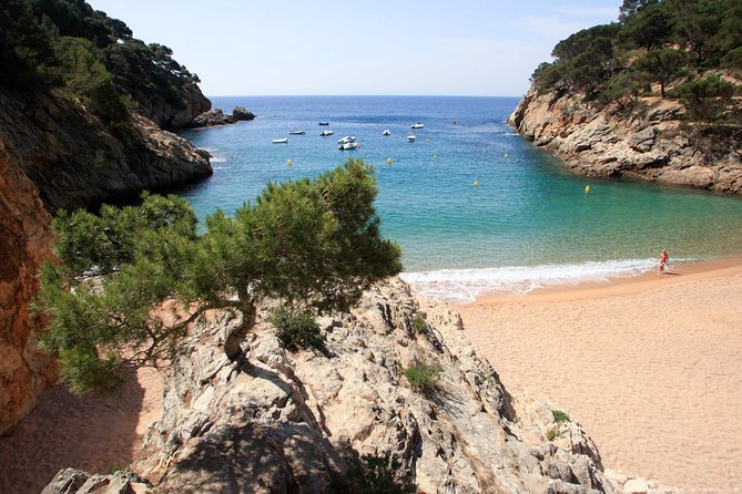 Girona & Costa Brava Small-Group Tour with Pickup from Barcelona - The kind of person who will enjoy this