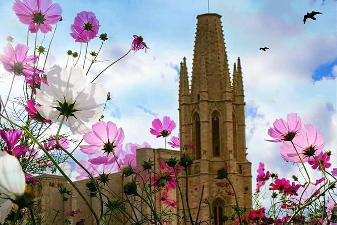 Girona Guided Tour with Cathedral, Arab Baths & St Feliu Basilica - Walking the Roman and Medieval Walls