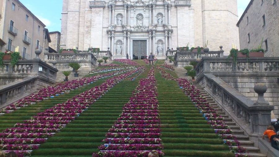 Girona: Jewish Heritage Guided City Tour and Museum Visit - The medieval Call and its three synagogue sites