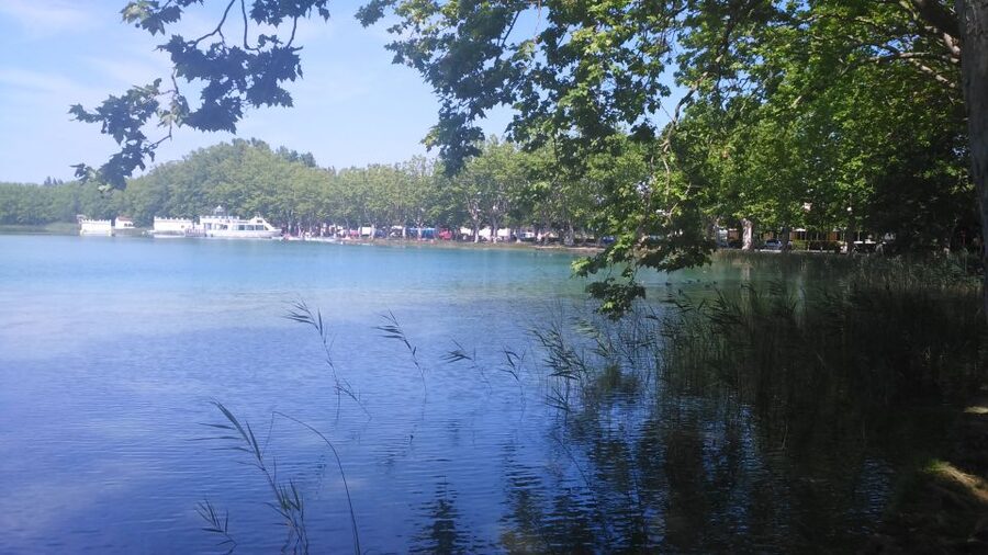 Girona: Volcano Area, Besalú, and Banyoles Lake Tour - Practical advice for a smoother day