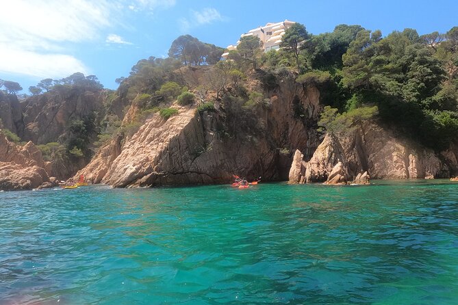 Guided Kayak & Snorkel tour to Costa Brava: Small Group and Lunch - Snorkeling, wildlife, and optional cliff jumping