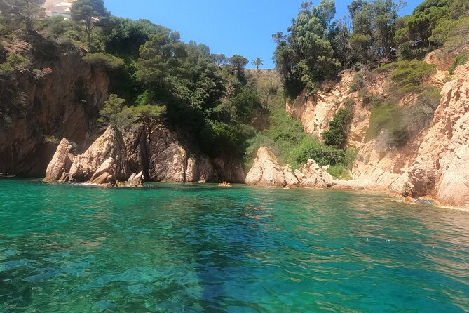Guided Kayak & Snorkel tour to Costa Brava: Small Group and Lunch - Who will enjoy this day most