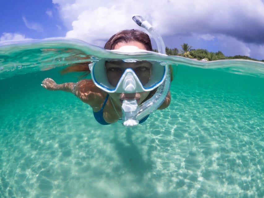 Guided Snorkel in Barcelona Beach - Key points at a glance