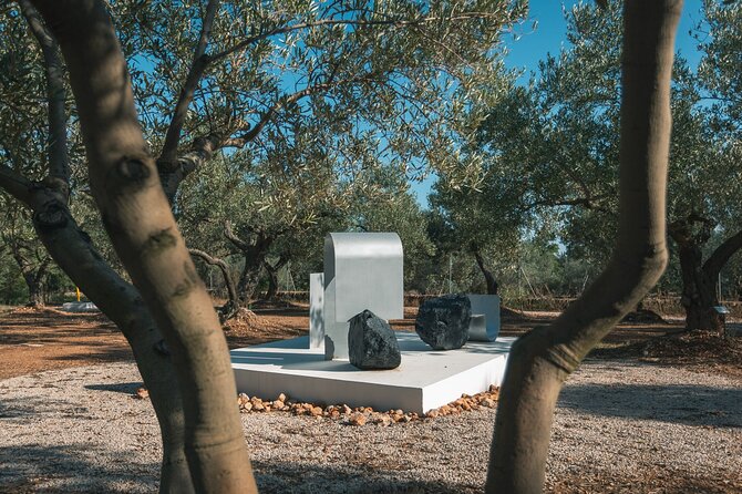 Guided tour Museum of Contemporary Art and Sculpture Park - Tapas and homemade olive oil can make it a longer morning